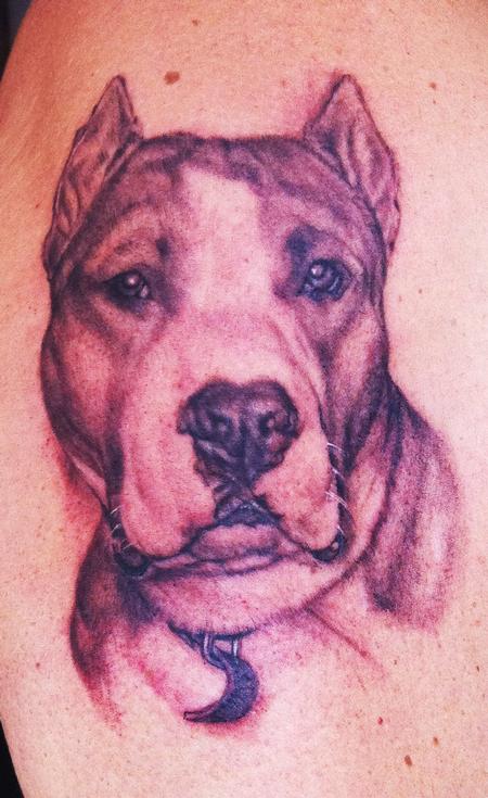 tattoos/ - Pitbull Portrait Tattoo - 59447